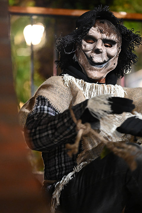 Petrified Pub Crawl