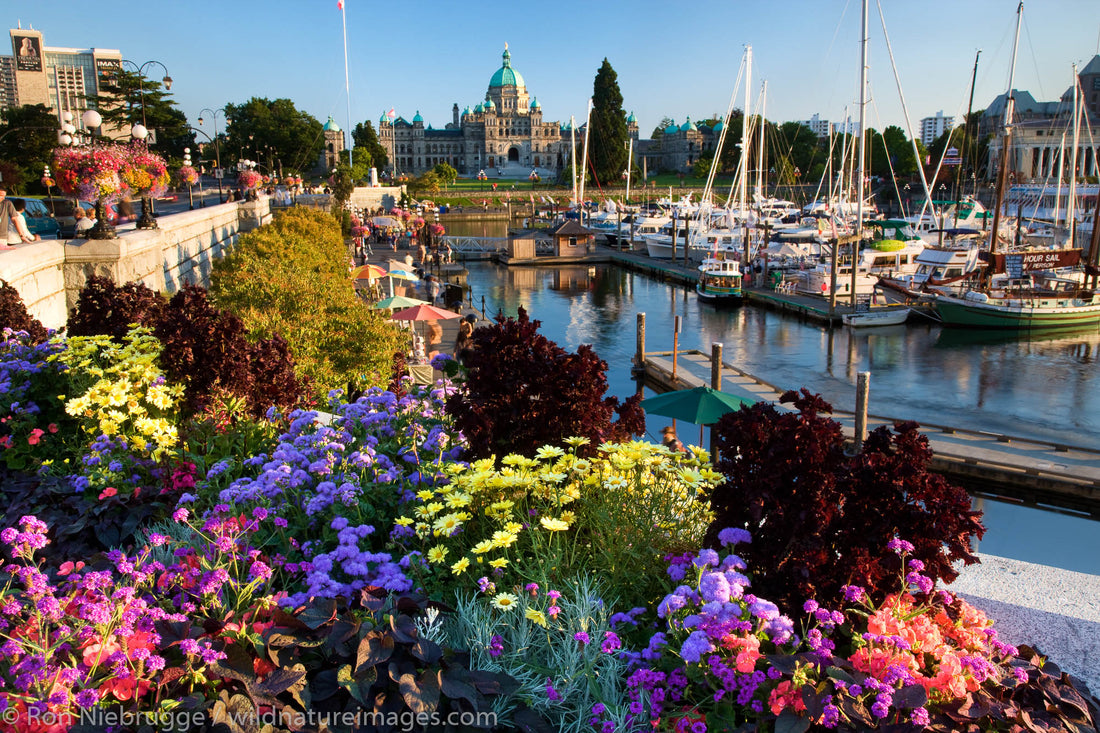 Destination Victoria Victoria BC Tourism | Why Millions Visit Each Year – Hidden Victoria