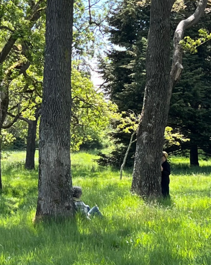 Forest Bathing in Victoria BC: A Mindful Experience in Beacon Hill Park